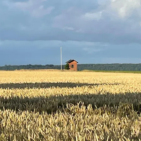 Penzion Sovgodt - Primitiv *