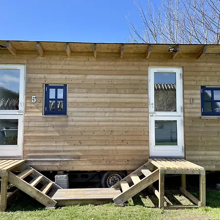 Sovgodt - Primitiv Nyord